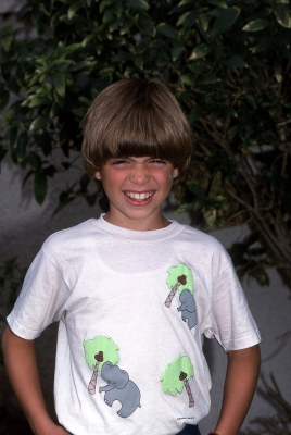 1988DavidPromos_281229.jpg