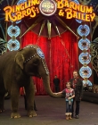 Filename=2015-01-23_28329.jpg
Filesize=1391KiB
Dimensions=2048x1361
Date added=Sep 10, 2025 2015-01-23_28329.jpg