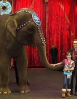 Filename=2015-01-23_28429.jpg
Filesize=1345KiB
Dimensions=2048x1361
Date added=Sep 10, 2025 2015-01-23_28429.jpg