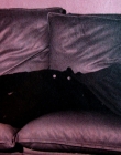 Filename=TeenSet_282829.jpg
Filesize=530KiB
Dimensions=2048x1132
Date added=Sep 09, 2025 TeenSet_282829.jpg