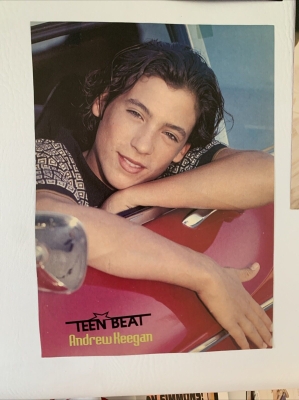 1993-1996_-_TeenBeat_281729.jpg