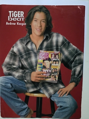 1993-1996_-_TigerBeat_281829.jpg